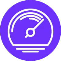 WordPress Page Speed optimisation and website performance service icon